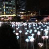 今週末は韓国のソウル広場で！