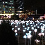 今週末は韓国のソウル広場で！
